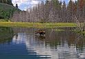 197 grand teton national park, eland